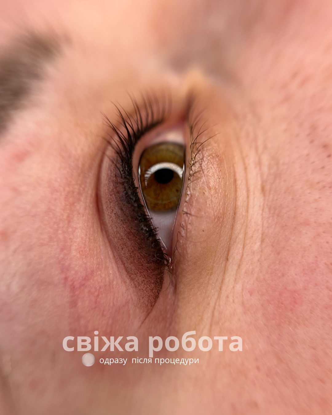 Робота Оксани&nbsp;Данилюк